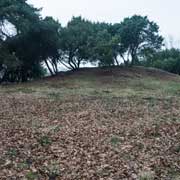 Mounds at Kampsheide